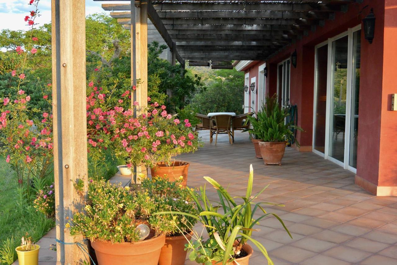 Апартаменты L'Albaida, Tranquility, Views Of Sea And Mountains Vilanova de Escornalbou Экстерьер фото