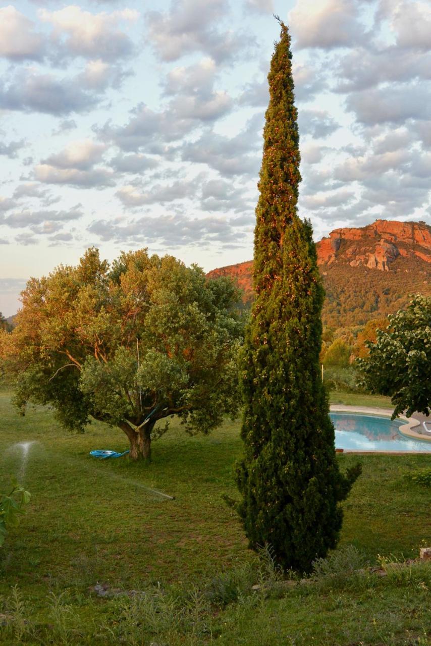 Апартаменты L'Albaida, Tranquility, Views Of Sea And Mountains Vilanova de Escornalbou Экстерьер фото