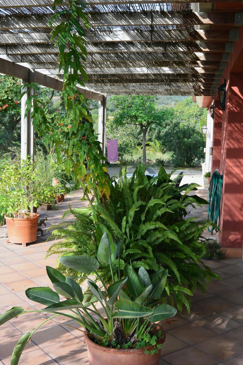 Апартаменты L'Albaida, Tranquility, Views Of Sea And Mountains Vilanova de Escornalbou Экстерьер фото