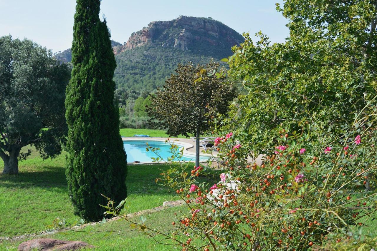 Апартаменты L'Albaida, Tranquility, Views Of Sea And Mountains Vilanova de Escornalbou Экстерьер фото