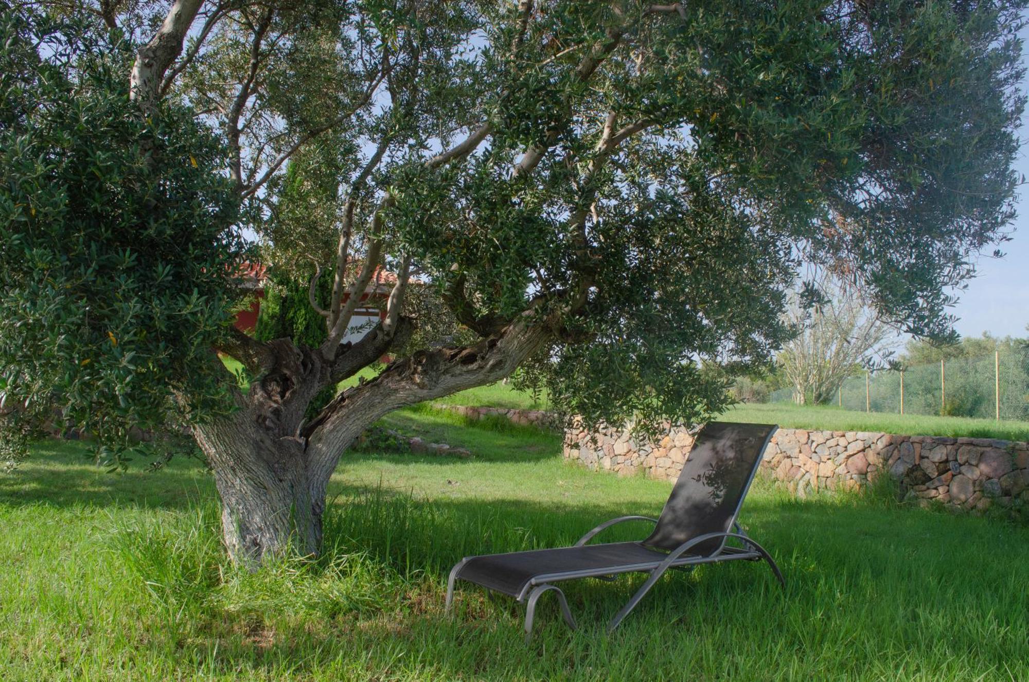 Апартаменты L'Albaida, Tranquility, Views Of Sea And Mountains Vilanova de Escornalbou Экстерьер фото